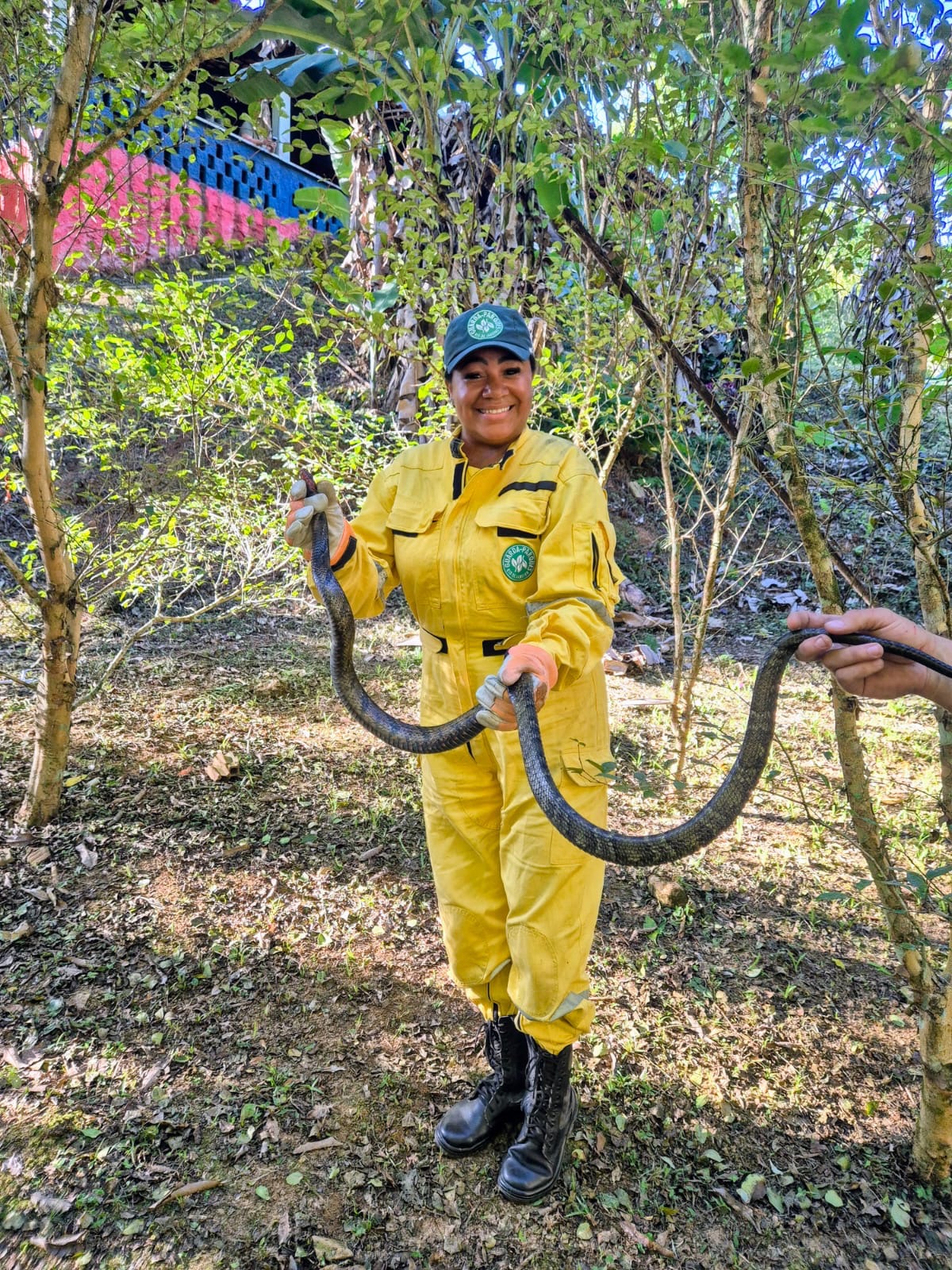 Cobra de cerca de dois metros é resgatada na PUC de Nova Iguaçu e devolvida à natureza