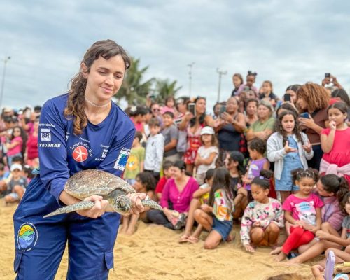 Tartaruga-verde é solta no litoral de Rio das Ostras após processo de reabilitação