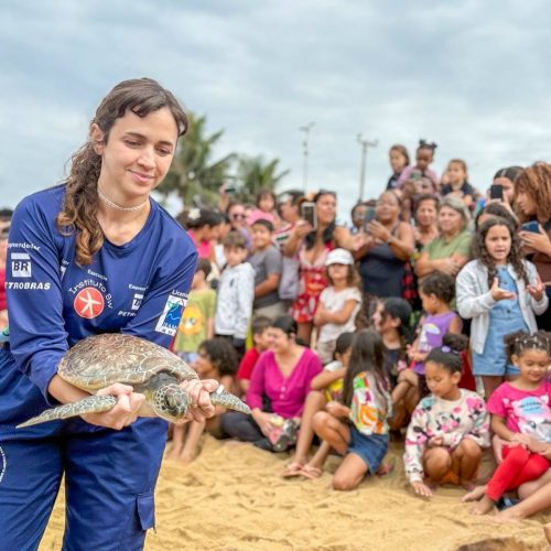 Tartaruga-verde é solta no litoral de Rio das Ostras após processo de reabilitação